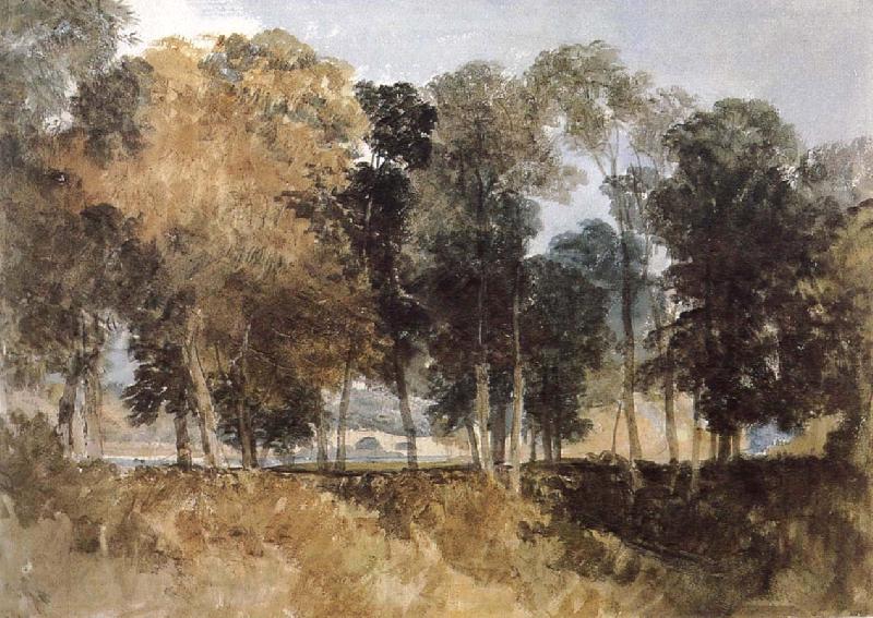 Joseph Mallord William Turner Forest